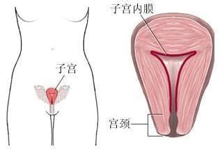 Ѫ