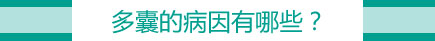 ҵĲЩ